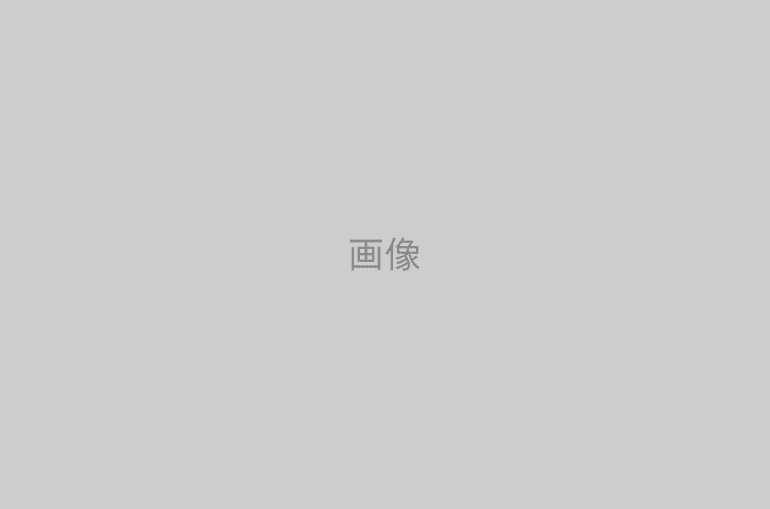 画像１カラム表示 キャプション付き表示